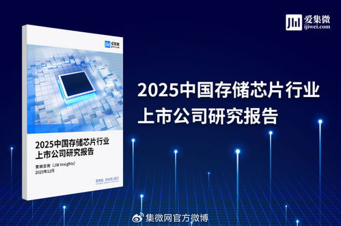 2025中國(guó)存儲(chǔ)芯片行業(yè)上市公司研究報(bào)告 技術(shù)演進(jìn)、市場(chǎng)格局與投資機(jī)遇