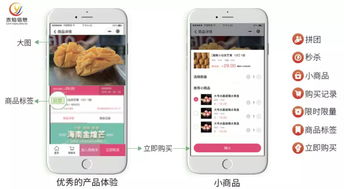 水產(chǎn)行業(yè)協(xié)會如何利用社區(qū)團購系統(tǒng)與互聯(lián)網(wǎng)信息服務(wù)提升會員商家銷量