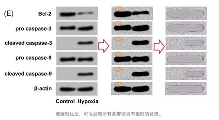 觸目驚心的“論文工廠” 計(jì)算機(jī)軟件開發(fā)領(lǐng)域的信任危機(jī)與技術(shù)外包路徑依賴 |